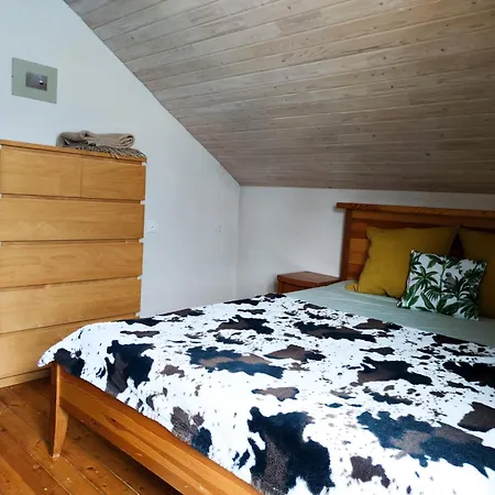 Old Town Apartman